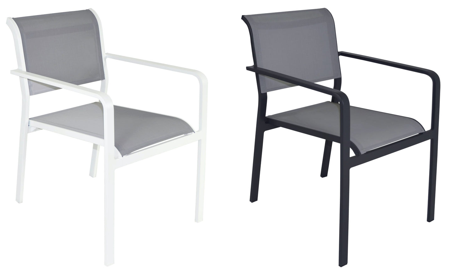 Shelta Le Mans Dining Chair